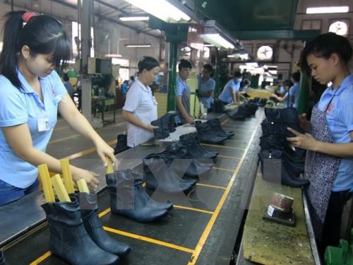 Необходимо развивать вспомогательную промышленность кожевенной отрасли Вьетнама - ảnh 1